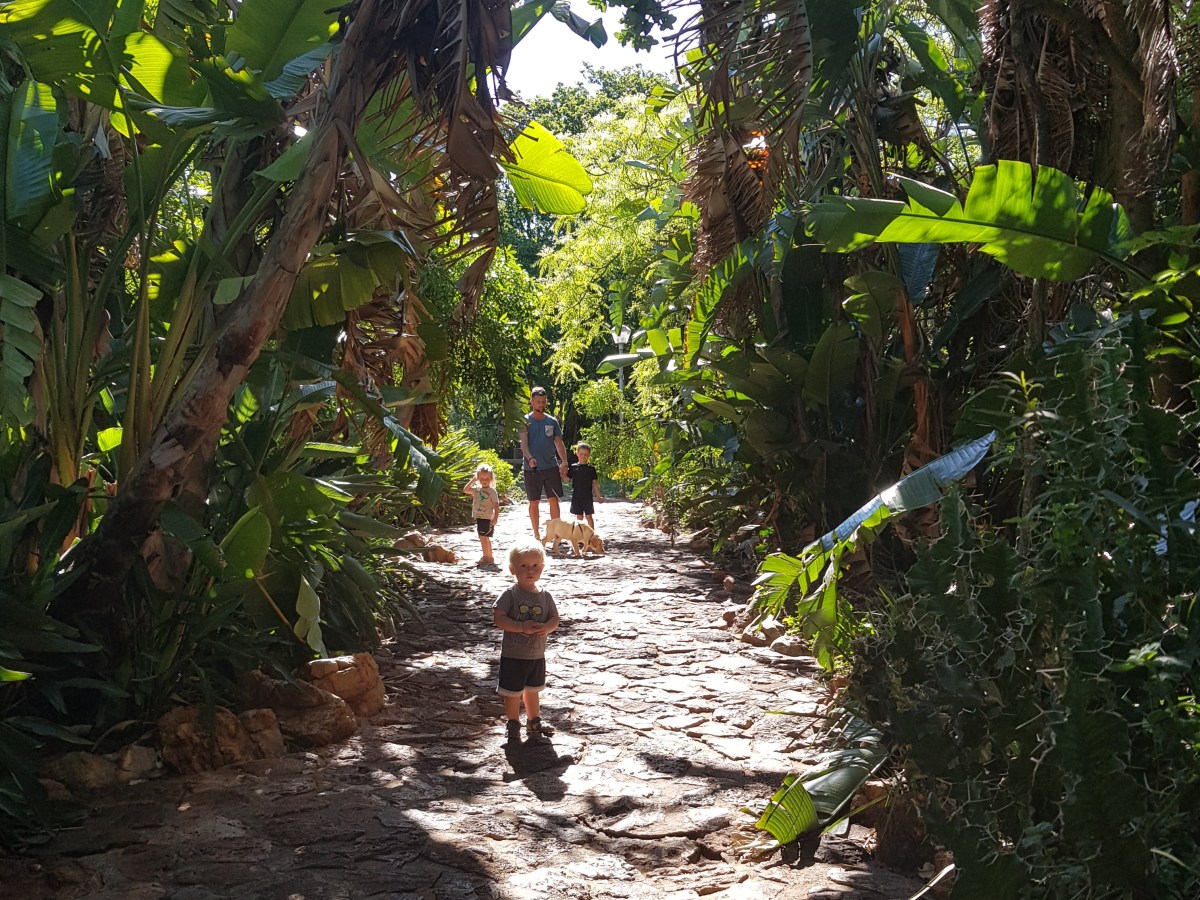 Hundeparkerne plus det&nbsp;løse