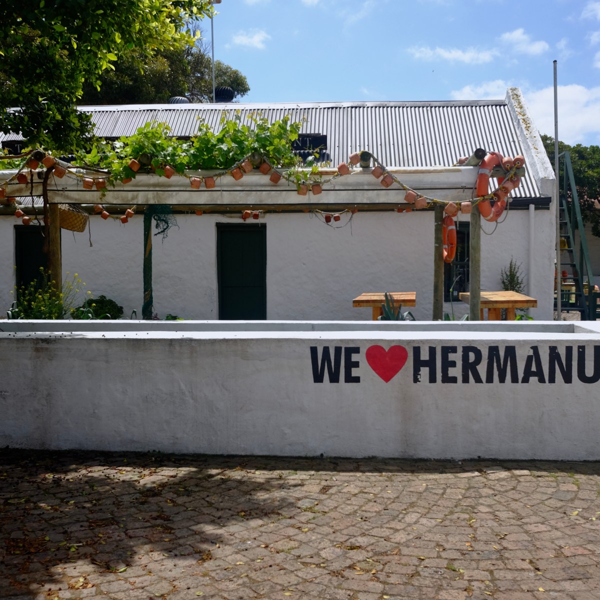 Hermanus