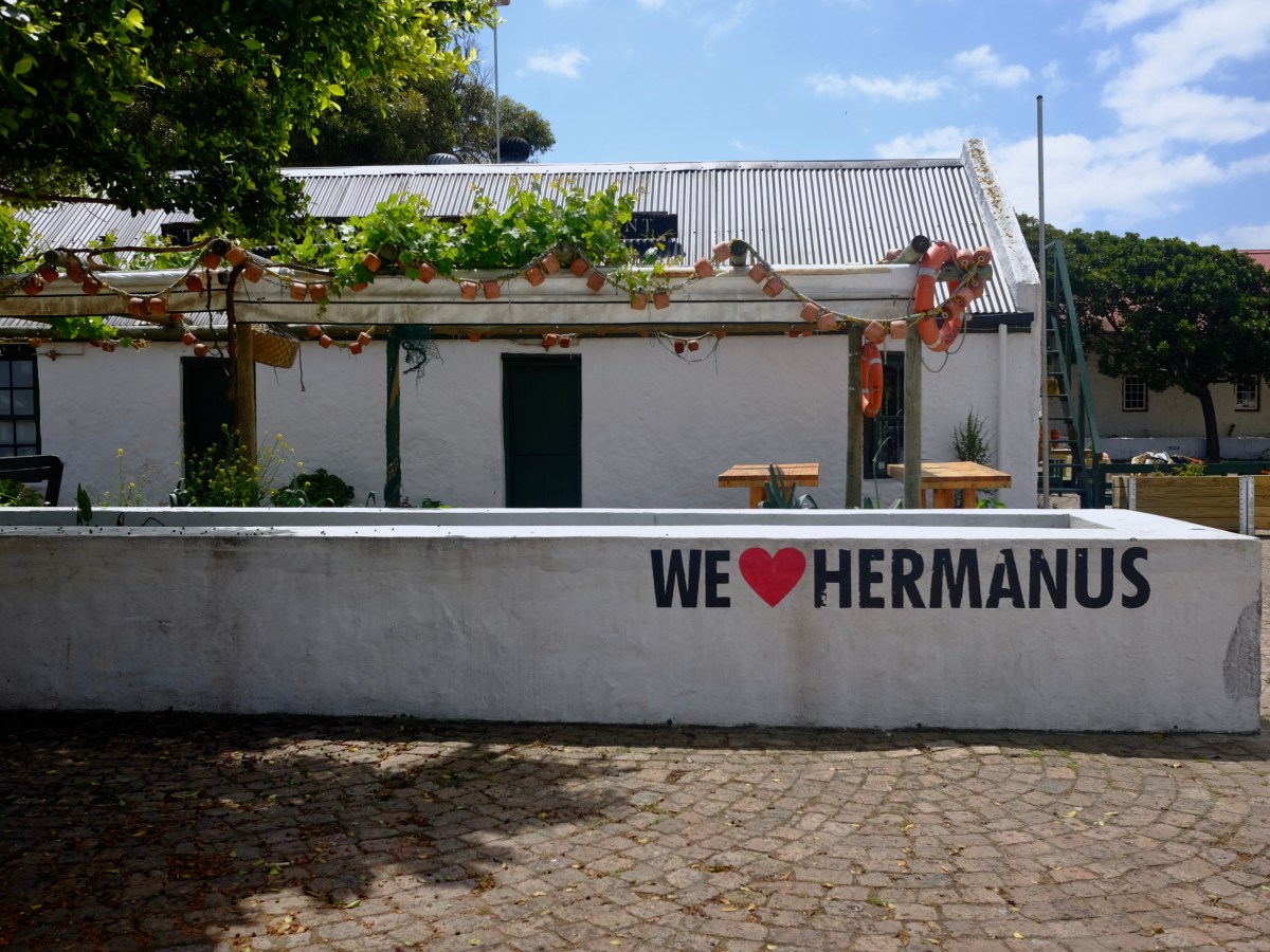 Hermanus