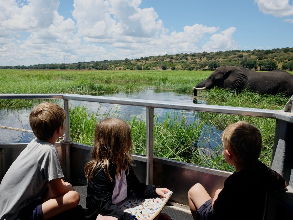 Botswana 2/2 – Afrikas bedste&nbsp;safari